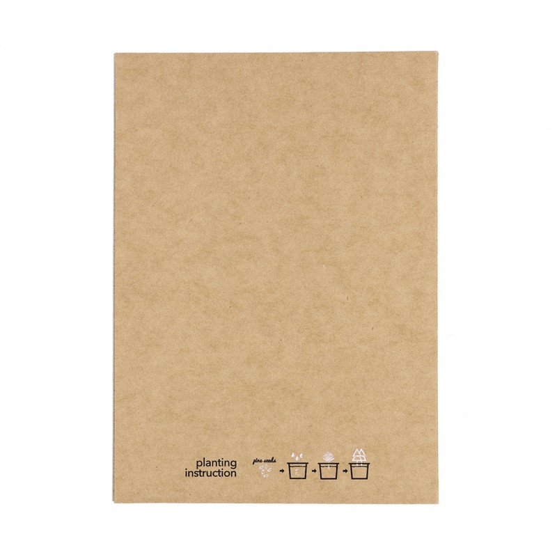 Postal Adorno Astrox