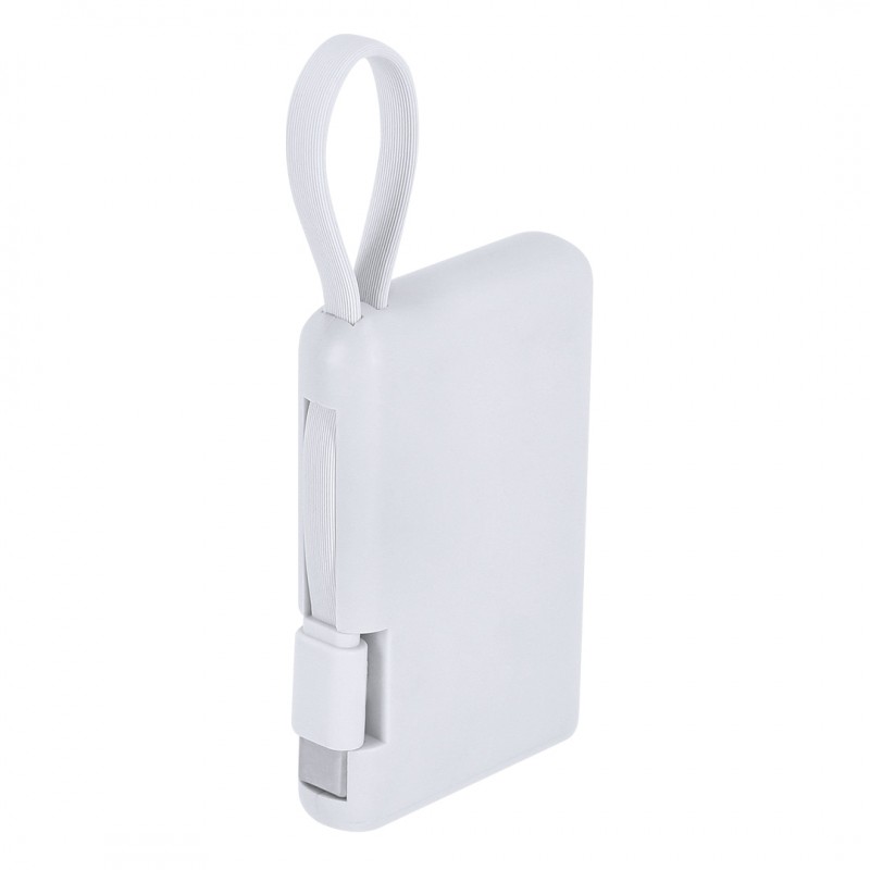 Power Bank Brandin