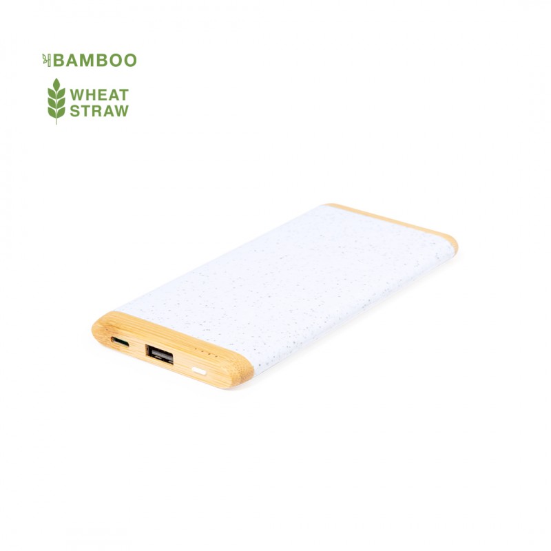 Power Bank Coquin